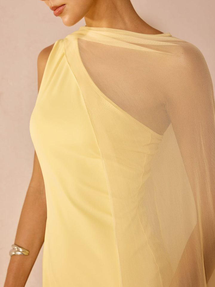 Sheer Drape Slim Maxi Evening Dress