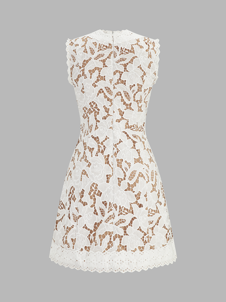 Sleeveless V Neck Lace Mini Dress